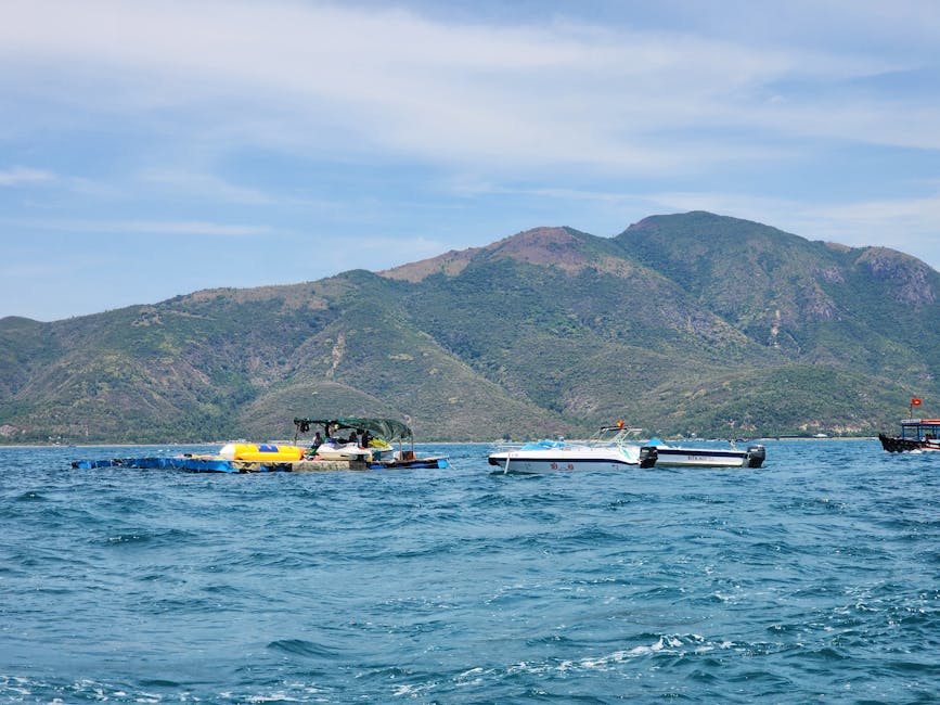 mua-ve-may-bay