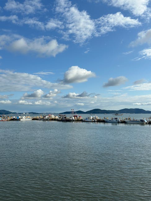 mua-ve-may-bay