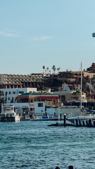 mua-ve-may-bay