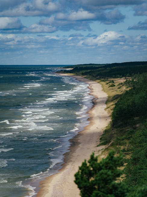 mua-ve-may-bay