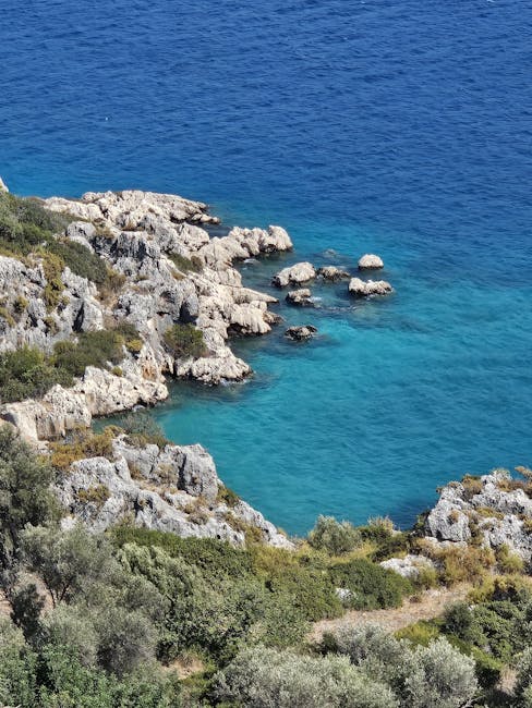 mua-ve-may-bay