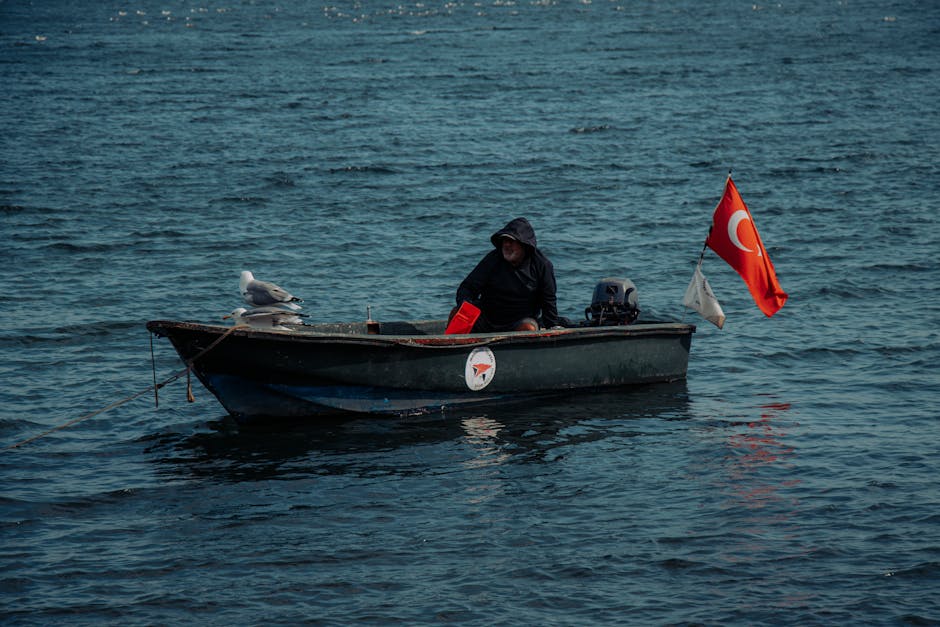 mua-ve-may-bay